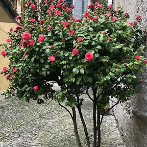 Casa Italien